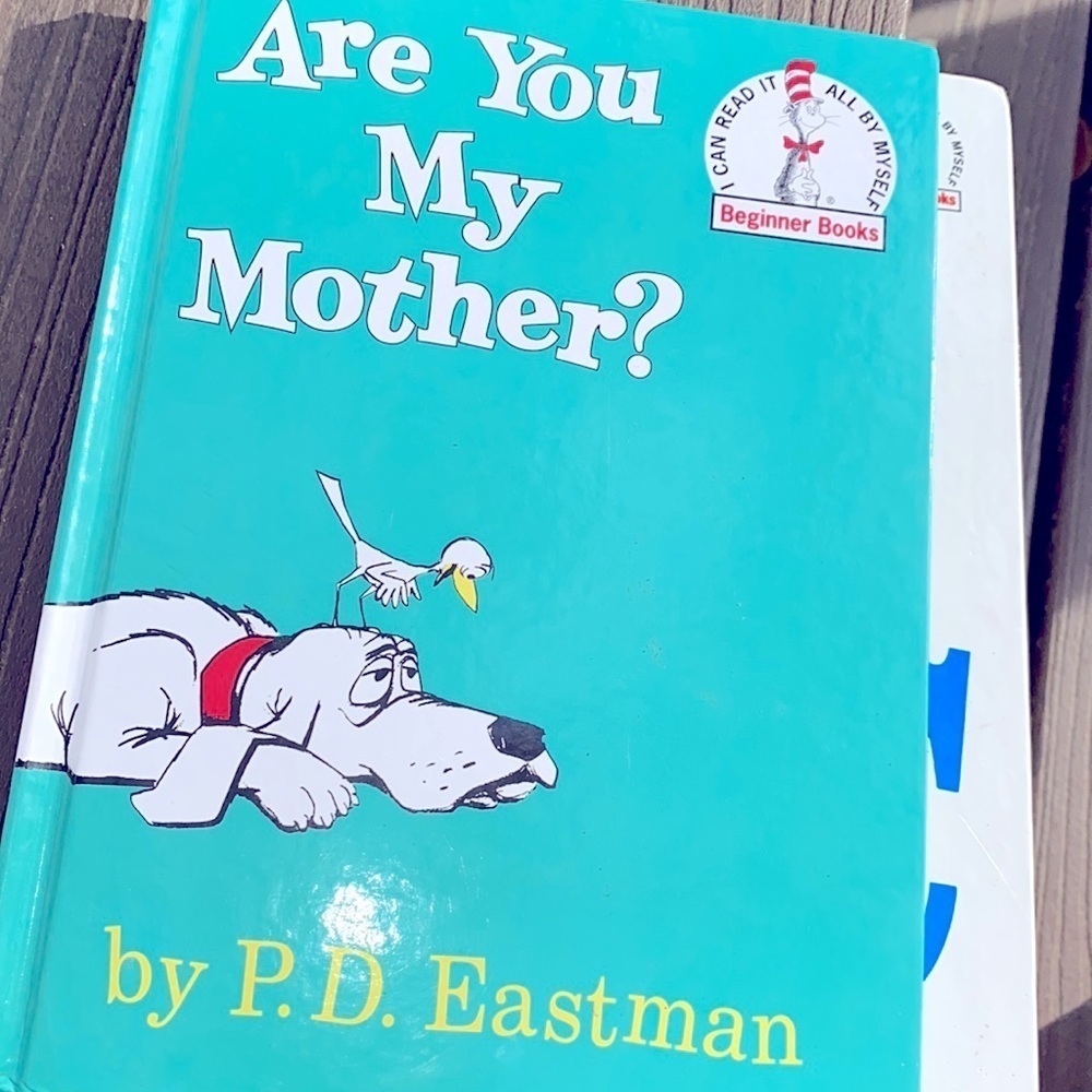 Dr Seuss set of two beginner books